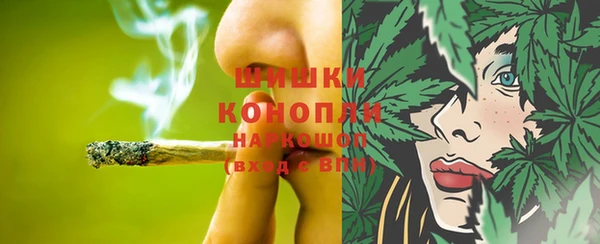 сатива Армянск