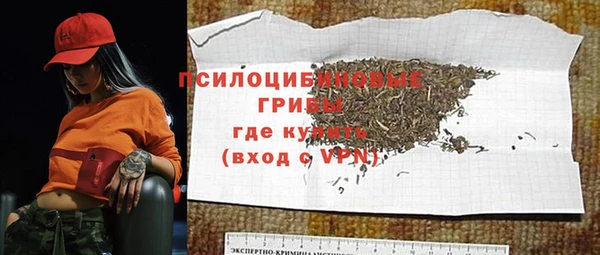 сатива Армянск
