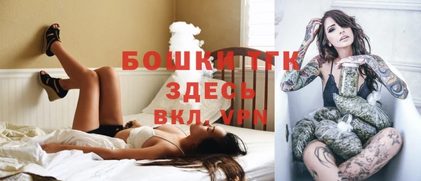 спайс Арсеньев