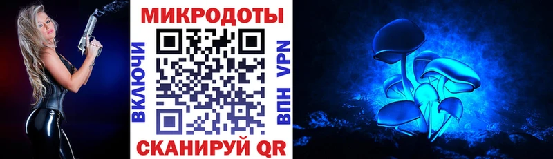 Галлюциногенные грибы Magic Shrooms  Болотное 